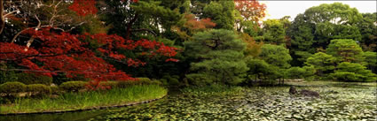 Garden - Japan (PB H3D H 000094)