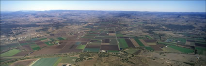 Gatton Farms - QLD (PB00 5864)