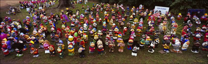Gnomes at Floride - ACT (PB 003644)
