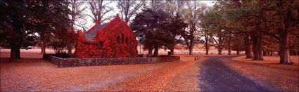 Gostwick Church 2 - NSW (PB00 2898)
