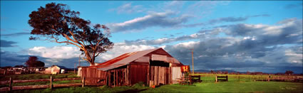 Grafton Shed - NSW (PB 001974)