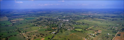 Gulgong - NSW  (PB00 6270)