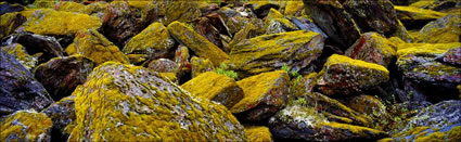 Haast Pass Boulders 1 - NZ (PB 002684)