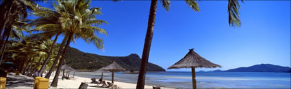 Hamilton Island Beach - QLD (PB00 3498)