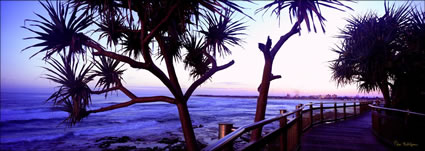 Happy Valley Pandanus - Caloundra -QLD (PB 003129)