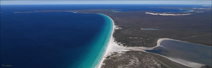 Hood Point - Bremer Bay - WA H (PBH3 00 3459)