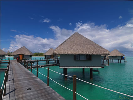 Hotel Le Meredian (5)