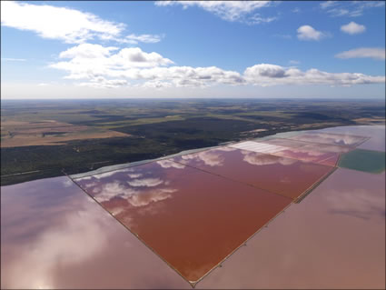 Hutt Lagoon - WA (PBH3 00 3845)