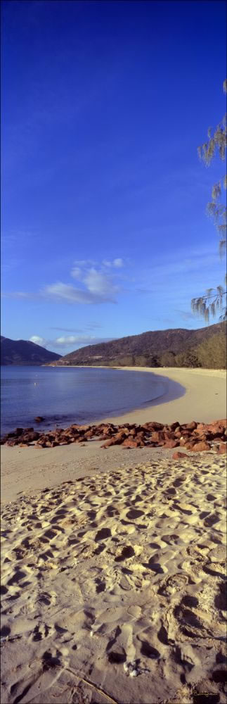 Hydeaway Bay Beach Vertical - QLD (PB00 3511)