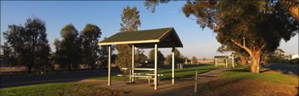 Illabo Rest Area - NSW (PBH3 00 17408)