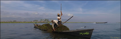 Inle Lake (PBH3 00  15207)