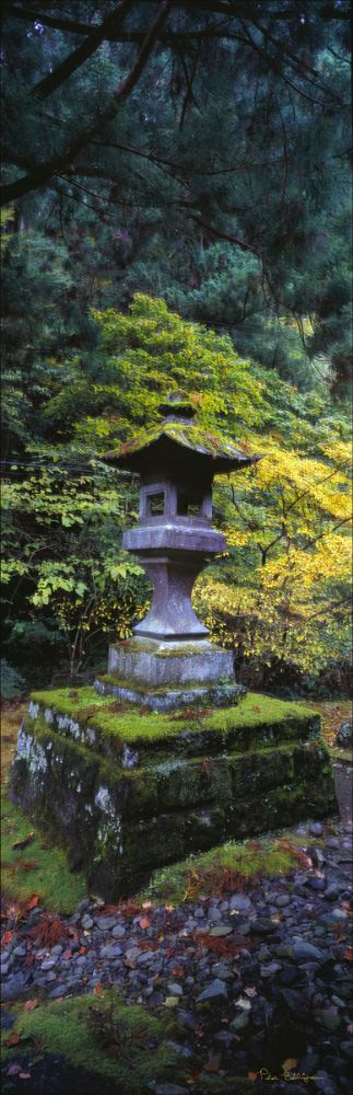 Nikko - Japan (PB00 6081)