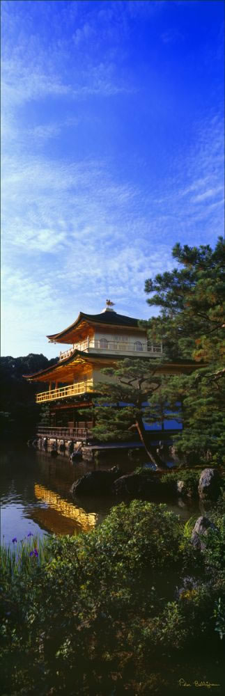 Golden Pavillion - Japan (PB00 6085)