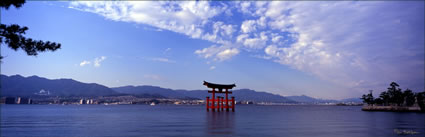 Floating Torii - Japan (PB00 6104)