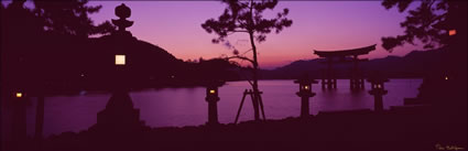 Floating Torii - Japan (PB00 6107)