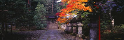 Nikko - Japan (PB00 6128)