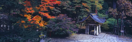 Nikko - Japan (PB00 6129)