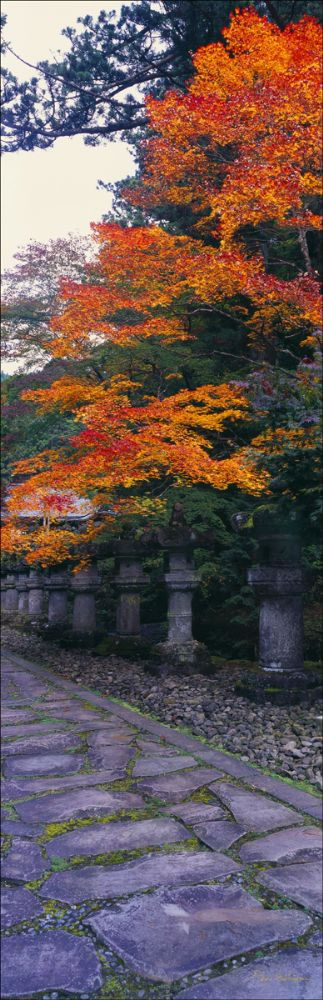 Japan (PB00 6130)