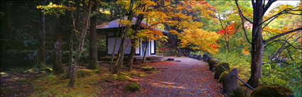 Nikko - Japan (PB00 6131)