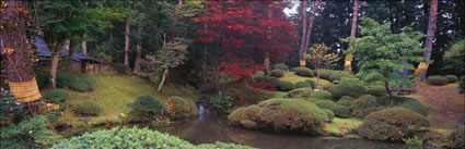 Nikko - Japan (PB00 6135)