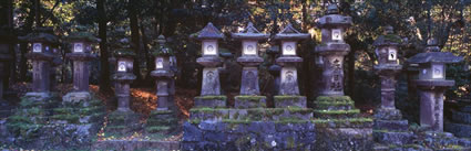 Lantern Way - Nara - Japan  (PB00 6255)