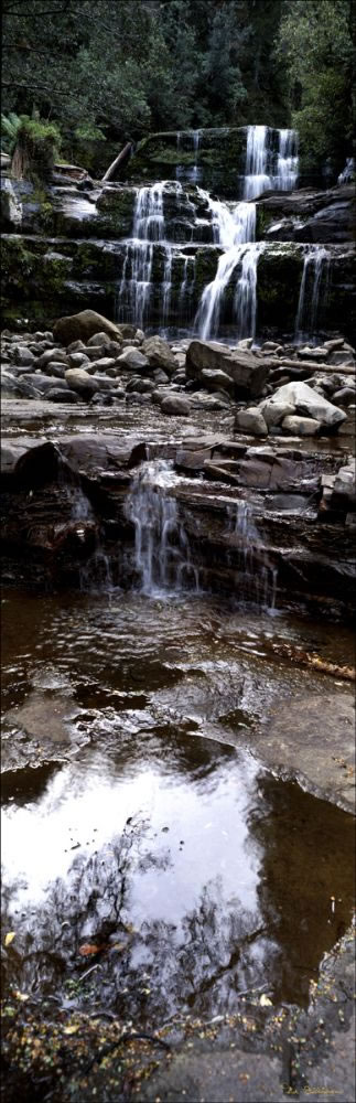 Liffey Falls Vertical - TAS (PB00 4411)