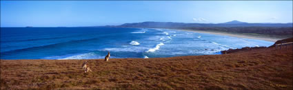 Look at Me Now Headland 2 - NSW (PB003104)
