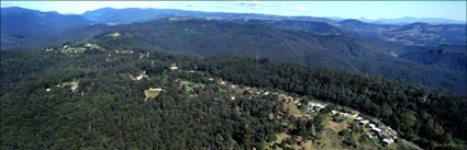 Lower Beechmont Bottletree Lane - QLD (PB00 4577)