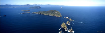 Maatsuyker Island - TAS (PB00 5370)