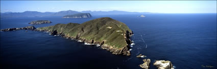 Maatsuyker Island - TAS (PB00 5371)
