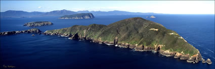 Maatsuyker Island - TAS (PB00 5372)
