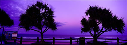 Maroochydore Beach Panadanus 2-QLD (PB 003380)