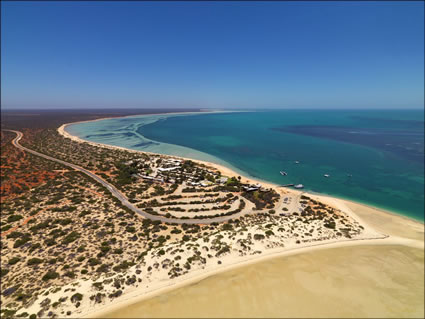 Monkey Mia Resort - Shark Bay - SQ (PBH3 00 4885)