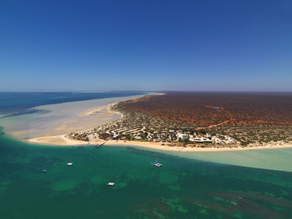Monkey Mia Resort - Shark Bay - SQ (PBH3 00 4887)