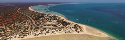 Monkey Mia Resort - Shark Bay - WA (PBH3 00 4884)