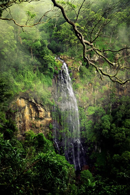 Morans Falls - Lamington National Park- QLD