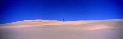 Moreton Island Dunes - QLD (PB00 2116)