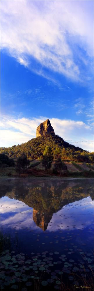 Mount Crookneck Vertical  - QLD (PB00 4675)