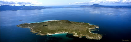 Mt Chappell Island - TAS (PB00 5488)