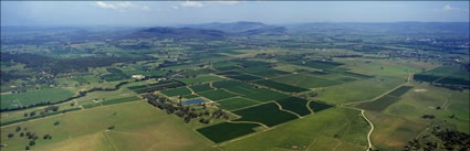 Mudgee - NSW (PB00 6282)