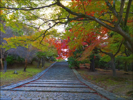 Nara - Japan SQ (PBH3 00 0065)