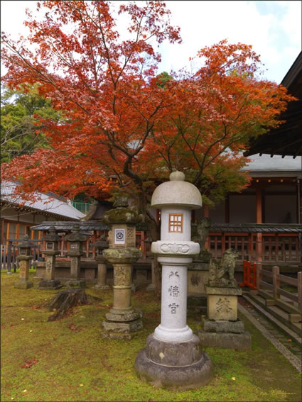 Nara - Japan SQ (PBH3 00 0091)