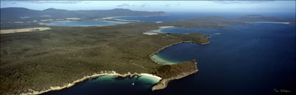 Near Cloudy Bay - Bruny Island TAS (PB00 5305)