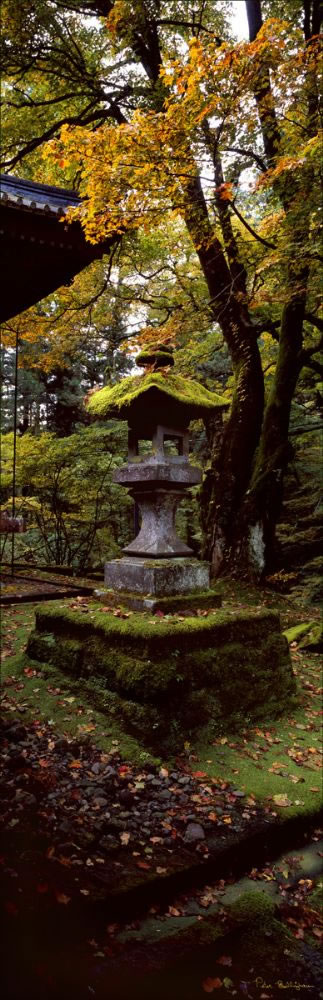 Nikko - Japan (PB00 6075)