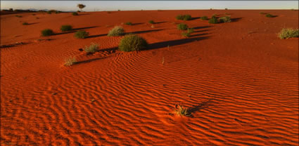 Nilpena Sand Dunes - SA T (PBH3 00 18859)