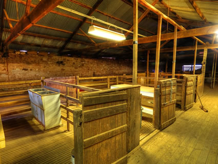 Shearing Shed - SA SQ (PBH3 00 18733)