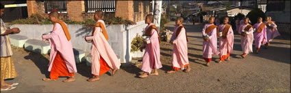 Novice Nuns (PBH3 00 15089)