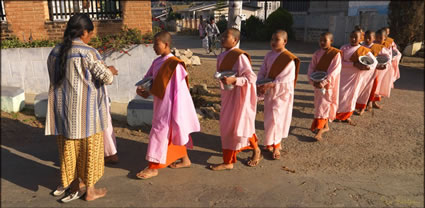 Novice Nuns T (PBH3 00 15090)