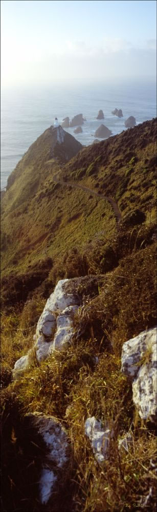 Nugget Point Lighthouse Vertical- NZ (PB00 2725) 