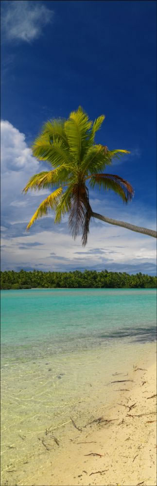 One Foot Island H (PBH3 00 1415)